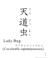 天道虫_LadyBug